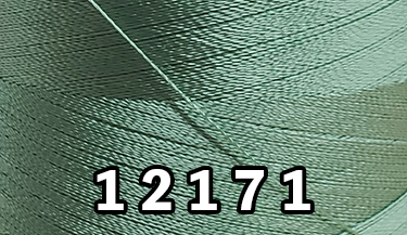 12171