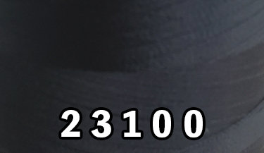 23100