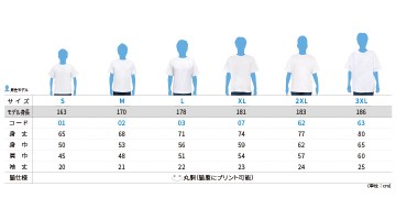 00085-CVT 5.6oz ヘビーウェイトTシャツ サイズ表